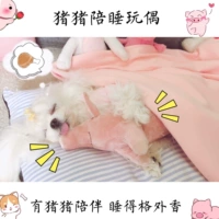 Pig Ngủ Đồng Hành Vật Nuôi Lợn Ngủ Chó Teddy Chó Chiến Đấu Ngủ Đồ Chơi Mèo Búp Bê Đồng Hành banh đồ chơi cho chó