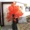 Cây mô phỏng Cây giả đỏ Cây phong trong phòng khách Sàn nhà lớn Cây nhựa trang trí Hoa giả Mô phỏng Cây xanh - Hoa nhân tạo / Cây / Trái cây