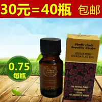 Khuyến nghị 10ml chai nhỏ tinh dầu hoa hồng hoa oải hương cơ thể đẩy dầu massage chân massage dầu chân - Tinh dầu điều trị dầu bưởi