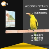 Fujian Cage Bird с деревянной шар