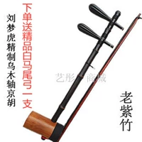 Jinghu Instrument Professional Ebony Axis jinghu lao zizhu jinghu xipi two huang tianjin liu menghu кукла
