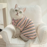 Сетка красная собака и кошка, одетые весна и летние плюшевые плюшевые браррин кедр