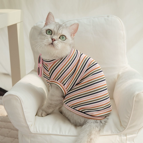 Сетка красная собака и кошка, одетые весна и летние плюшевые плюшевые браррин кедр