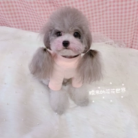 Розовый лонгслив