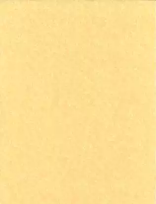 Импортированная легкая пергаментная бумага Светлая бумага из овчарки (настоящая) пожелания
