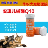 Thiên thần Coenzyme Q10 Pet Chăm Sóc Tim Đại Lý Dog Dog Cat Tim Mạch Tim Sản Phẩm Sức Khỏe 40 Viên Nang Sữa cho chó lớn