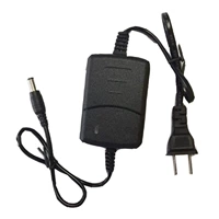 12V2A