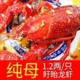 [Board Boys Lobster] Тринадцать ароматов пряные корректы 1.2 Два чисты