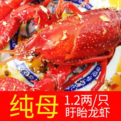 [Board Boys Lobster] Тринадцать ароматов пряные корректы 1.2 Два чисты