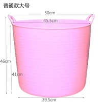 Обычный большой розовый розовый розовый розетка в пределах 35 фунтов