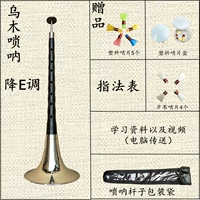 DoWry E мелодия [9 Whistle+4 подарка]