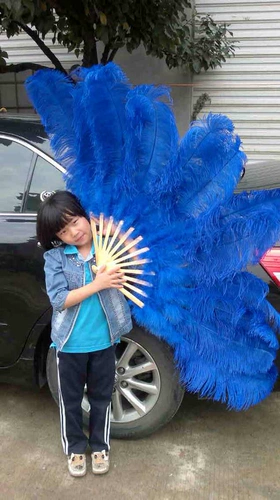 Выступление танца танца негабаритные фанаты -фанаты страуса страуса с большим фанатом Custom Multi -Color.