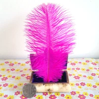 Роза красная