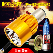 Bóng đèn xe máy bóng đèn Xenon 12V35W48V25W đúp claw duy nhất claw Reel bulb 12 V bóng đèn gốm