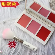 Tri-màu blush rõ ràng khỏa thân trang điểm bưởi cam cà chua đỏ blush matte tự nhiên màu sắc tốt màu sắc tươi sáng với bàn chải