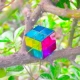 40 МНМ тройной цвет куб