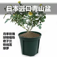 Импортированный японский Qingshan Control Croot Basin Drainage Basin и воздухопроницаемая корневая система разработана розовая джентльменская орхидея железная линия Lotus Pot