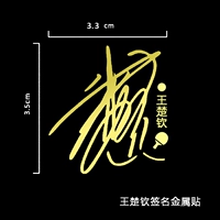 Wang Chuqin Metal Post A