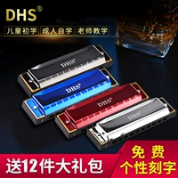 Chimei Harmonica Blues 10 Lỗ 20 Âm thanh C Người lớn Trẻ em Sinh viên mới bắt đầu Chuyên nghiệp Chơi nhạc cụ Blues - Nhạc cụ phương Tây saxsophone