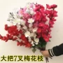Mô phỏng hoa đào mận hoa bó hoa đạo cụ sân khấu hoa trung tâm hoa ngoài trời trang trí giường hoa giả hoa nụ hoa nhựa - Hoa nhân tạo / Cây / Trái cây hoa đào giả