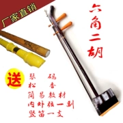 Người mới bắt đầu nhạc cụ lục giác Erhu với nhạc cụ quốc gia Horsetail Bow để gửi phụ kiện bán dây