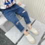 Quần jeans nữ lỗ lửng Phiên bản Hàn Quốc của bé gái chân quần bé bé Quần co giãn 1-3 tuổi 5 tuổi - Quần jean quần áo trẻ em hàn quốc