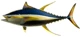 Mô phỏng mô hình cá giả cá chép đỏ cá chép diếc cá nhiệt đới đồ chơi cá ngừ osmanthus cá hải sản sông đạo cụ trang trí tươi