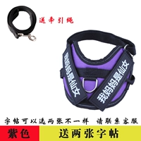 Сиреневая тетрадь с поводком