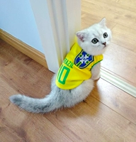 Желтый № 10 Бразилия