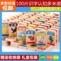 100 hai mặt nhân vật Trung Quốc dominoes trẻ em của khối xây dựng bé trẻ em nhận thức giáo dục sớm trí tuệ đồ chơi bộ xếp hình cho bé
