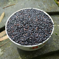 Сяцзян Терраса завод черный рис Новый груз не -подростки черного риса ядра 500G Местные фермерские сорта Разное зерна