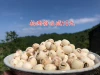 Товары от 风物先生