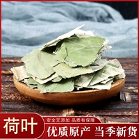 Озеро Вайшан Новые Продукты Lotus Leaf Tea 50 грамм без добавления сухих листьев лотоса цветочная трава чайная пузырьковая вода для хранилища лекарственных материалов