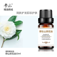 Tinh dầu nền sản xuất tinh dầu toàn thân massage dầu hoa trà hoang dã đích thực 10ml dầu tẩy trang chăm sóc da dầu gốc chăm sóc da - Tinh dầu điều trị tinh dầu bạc hà