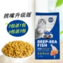 Dinh dưỡng Cát Thực Phẩm 500 gam Dương Cá Hương Vị Mèo Mèo Người Lớn Thực Phẩm Old Pet Cát Hạt Chính 5 Các loại pate cho mèo