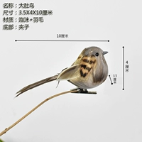 1 большая птица живота