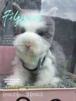 Dodge Cat, Cat, кролика кролика кролика кролика Pure Breed ушные домашние животные