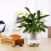 Bình thủy canh cây thủy tinh lọ thủy canh màu xanh lá cây chậu hoa thủy tinh bóng nước nuôi cá bể chứa - Vase / Bồn hoa & Kệ