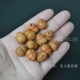 Персиковая ядерная тыква цена