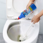 Nhật Bản nhập khẩu toilet nhà vệ sinh chất lỏng rửa nhà vệ sinh khử trùng nhà vệ sinh nhà vệ sinh tinh thần nhà 500ml - Trang chủ