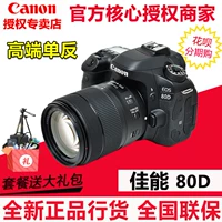 Máy ảnh kỹ thuật số SLR chuyên nghiệp Canon Canon EOS 80D 18-135 18-200mm chuyên nghiệp máy chụp ảnh giá rẻ