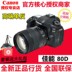 Máy ảnh kỹ thuật số SLR chuyên nghiệp Canon Canon EOS 80D 18-135 18-200mm chuyên nghiệp SLR kỹ thuật số chuyên nghiệp
