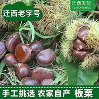[16 -Year -Sold Shop] В 2022 году, Zhengzong Mao Li Li Qian Xianli Lailenant Fresh and Fresh Tree Farmers были ручным выбором