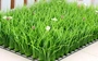Bán hàng trực tiếp trong nhà cỏ giả với hoa nhựa cỏ mô phỏng cây xanh cỏ cao ban công mã hóa trang trí sân cỏ nhân tạo - Hoa nhân tạo / Cây / Trái cây các loại lan giả hạc