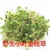 Деньги Cao Fujian Wild Lagua Money Grass Fresh 250g Бесплатная доставка подковообразное золото деньги трава чай