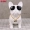 Mô hình chiến đấu pháp luật sáng tạo đeo kính chó trang trí phòng khách may mắn trang trí cửa hàng mở quà tặng đồ đạc - Swiss Army Knife dao xếp mini