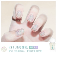 21 Shell Sugar Paper