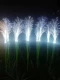 đèn led sợi quang cây sậy cỏ nhiều màu sắc đơn giản năng lượng mặt trời đèn sân vườn ngoài trời không thấm nước chiếu sáng cảnh quan đèn trang trí đèn trang trí sân vườn năng lượng mặt trời đèn solar sân vườn