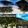 Товары от zouyouwen520