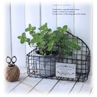 Стена -Минь, размер корзины